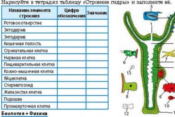 Kraken darknet зеркала кракен обход