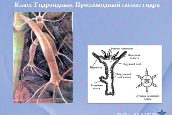 Ссылка на кракен 14ат