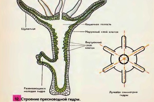 Кракен пользователь не найден что