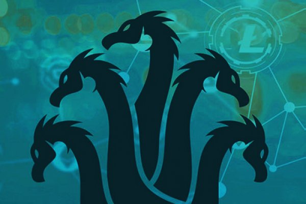 Kraken 18at